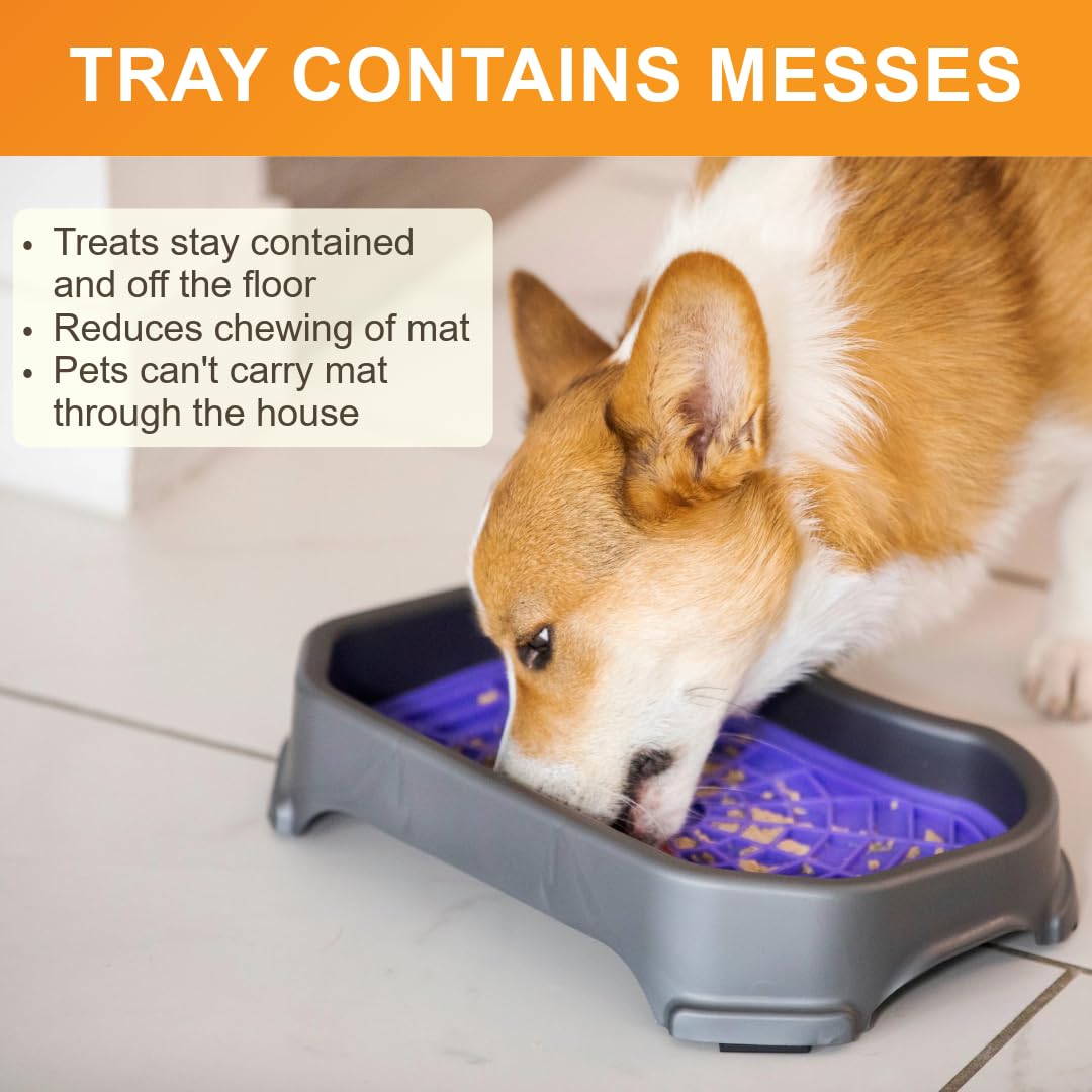 Dog Interactive Treat Licking Mat with Mess-Proof Tray (Purple & Green/Gunmetal)