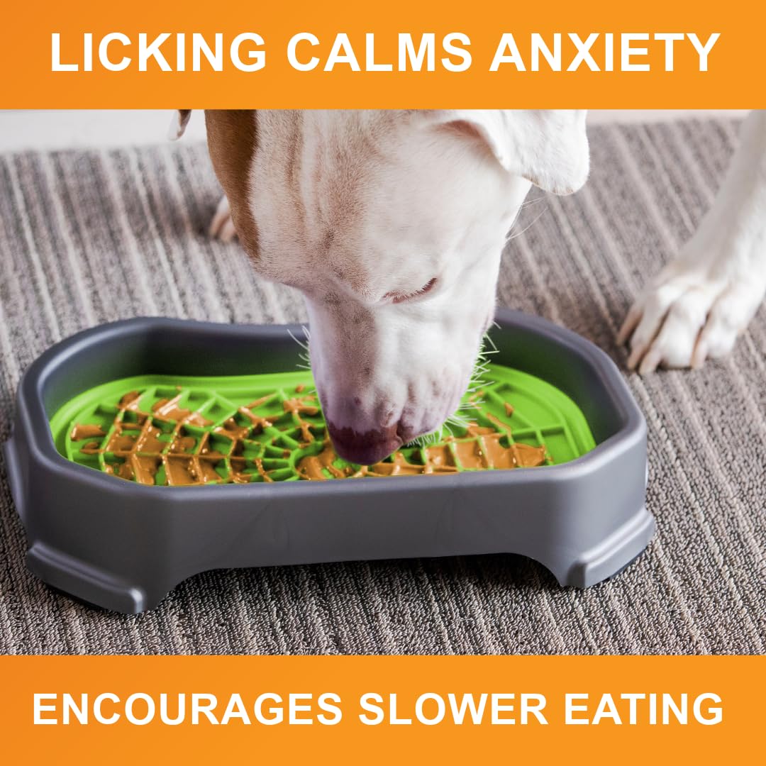 Dog Interactive Treat Licking Mat with Mess-Proof Tray (Purple & Green/Gunmetal)