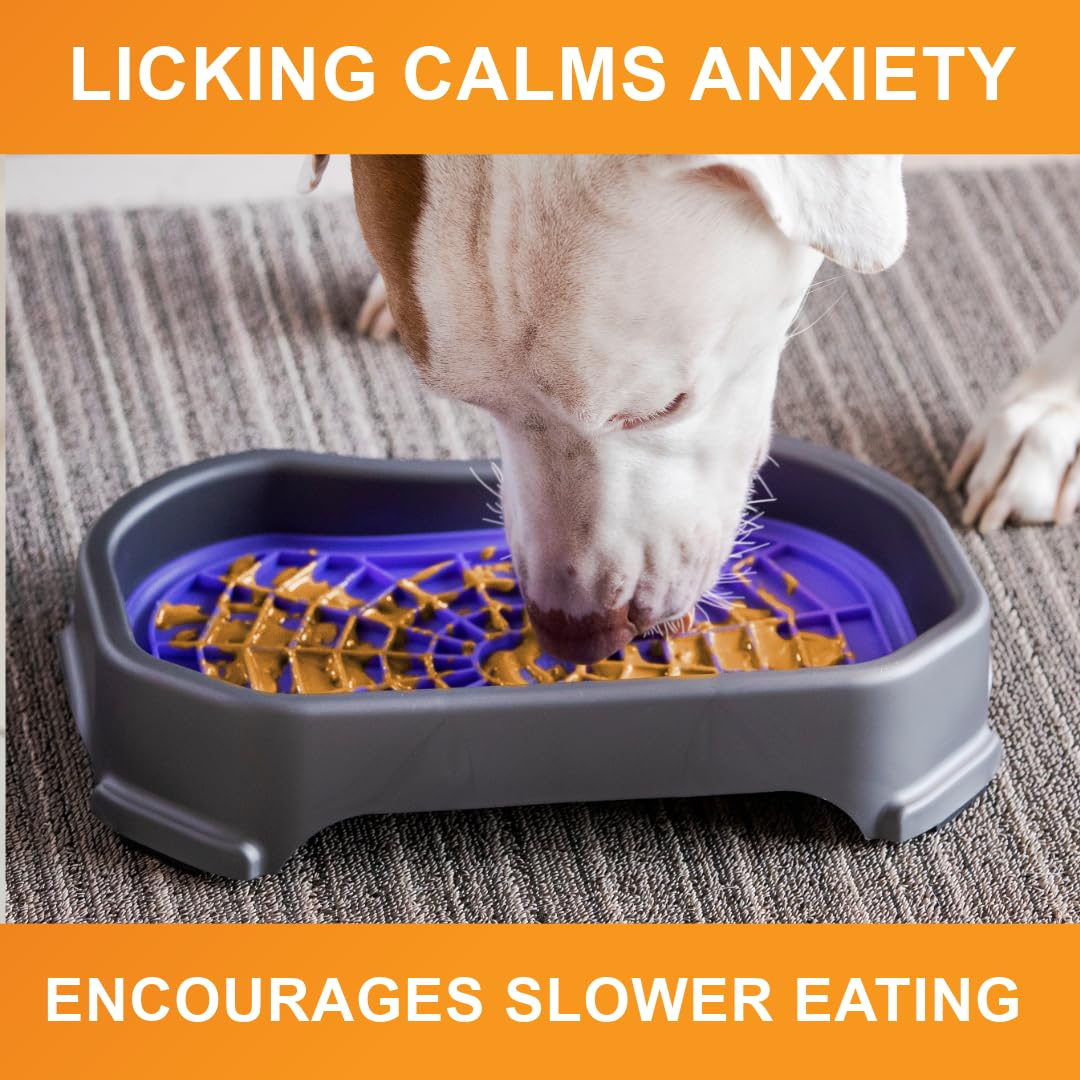 Dog Interactive Treat Licking Mat with Mess-Proof Tray (Purple & Green/Gunmetal)