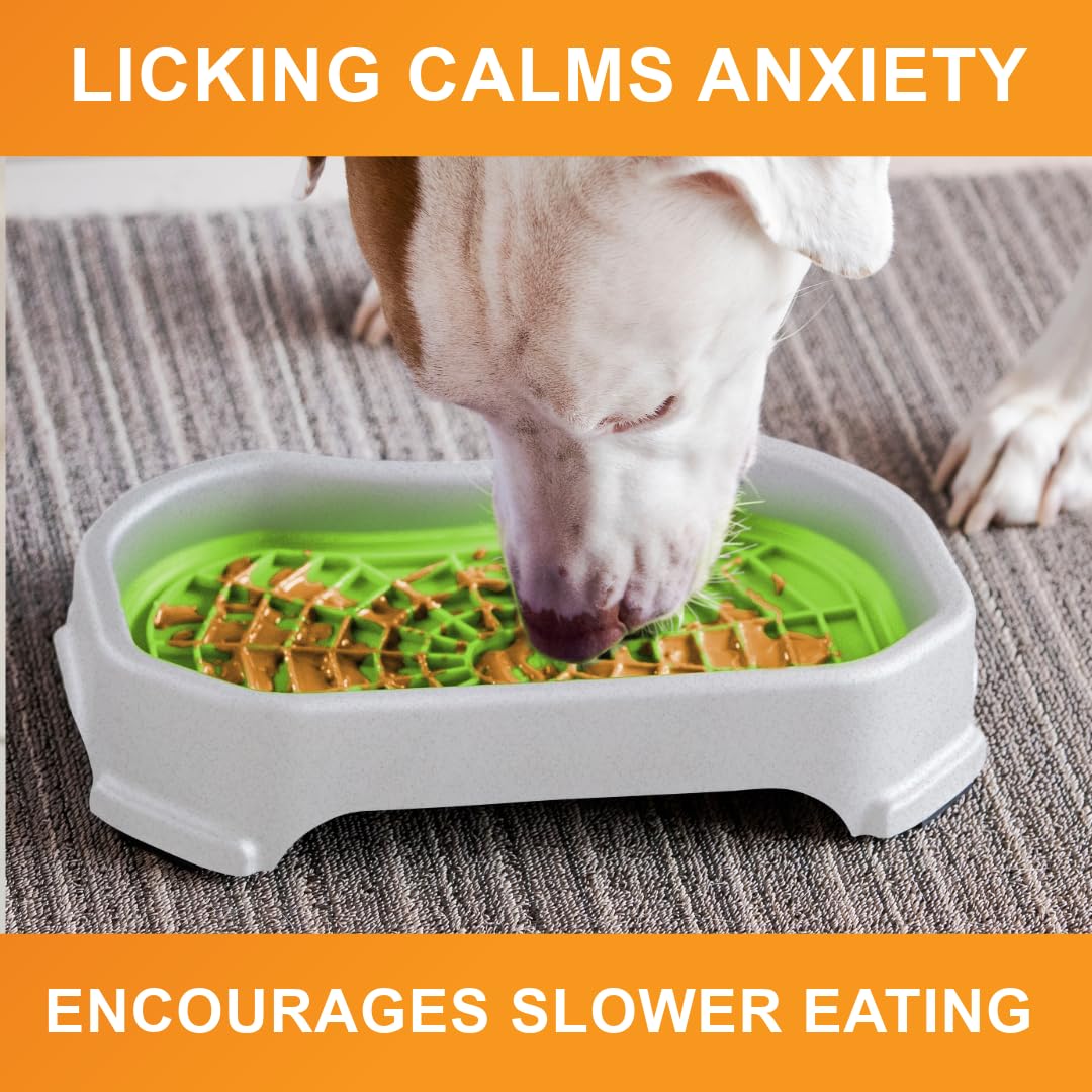 Dog Interactive Treat Licking Mat with Mess-Proof Tray (Purple & Green/Gunmetal)